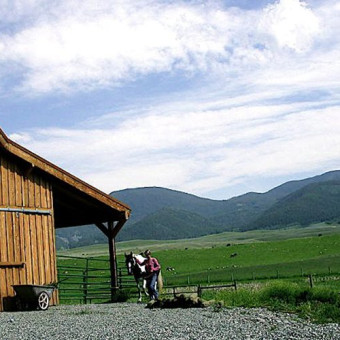 Four Stall Horse Barn